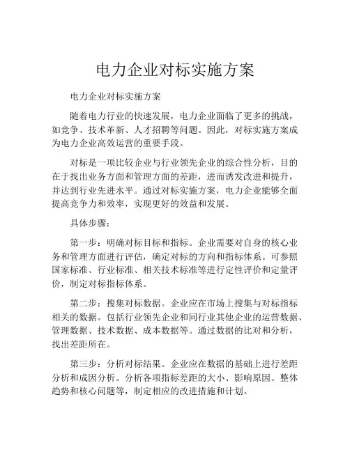 电力企业对标实施方案