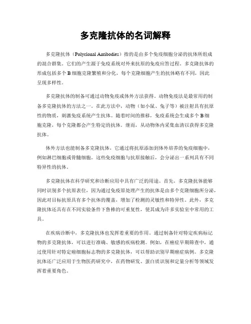 多克隆抗体的名词解释