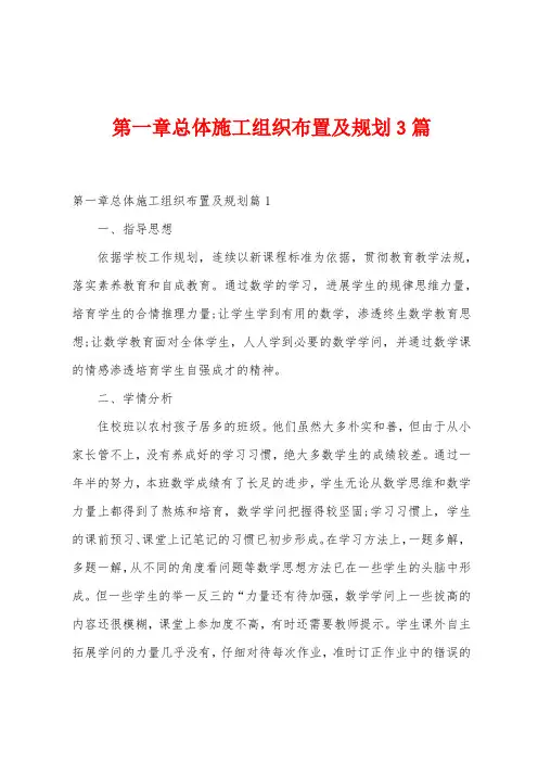 总体施工组织布置及规划3篇