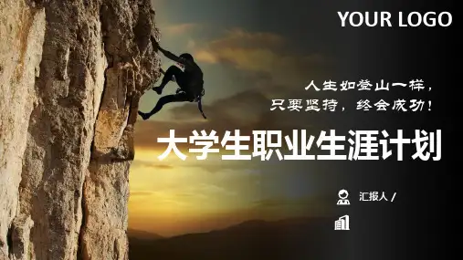 大学生职业生涯规划工作规划PPT模板