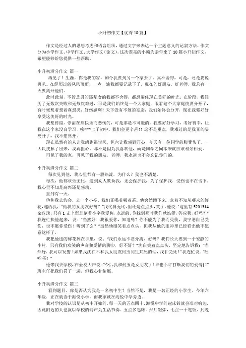 小升初作文【优秀10篇】