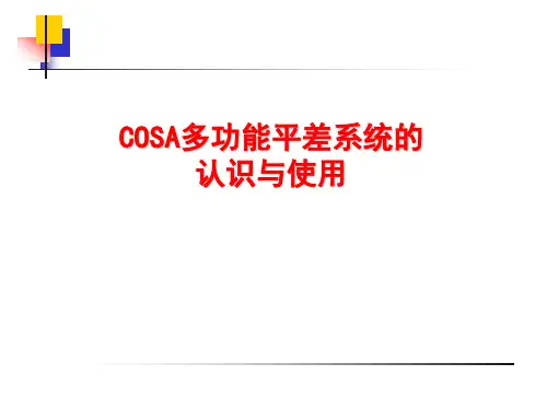 科傻(COSA)多功能平差系统的认识与使用
