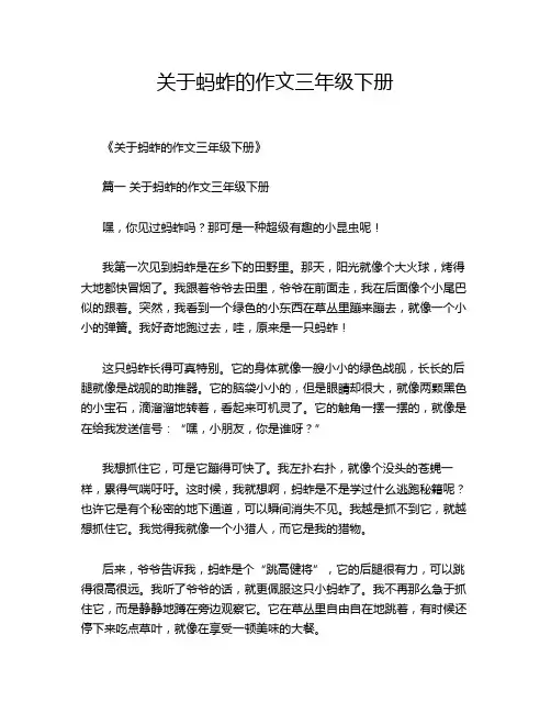 关于蚂蚱的作文三年级下册