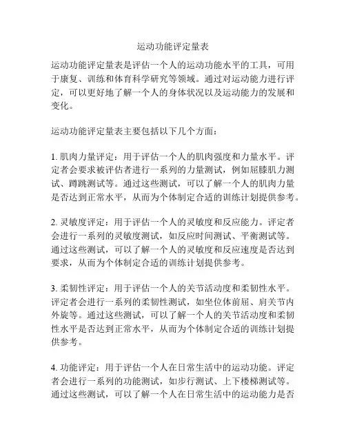 运动功能评定量表