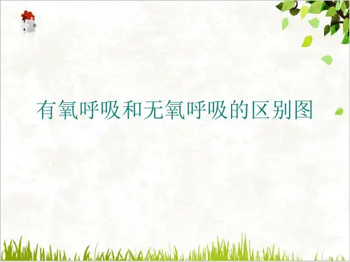有氧呼吸和无氧呼吸的区别图PPT.