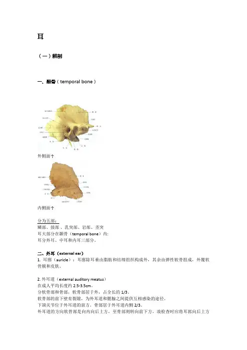 耳鼻喉学笔记 总结1：耳的解剖、生理和常见疾病