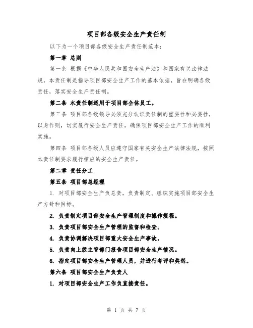 项目部各级安全生产责任制（四篇）