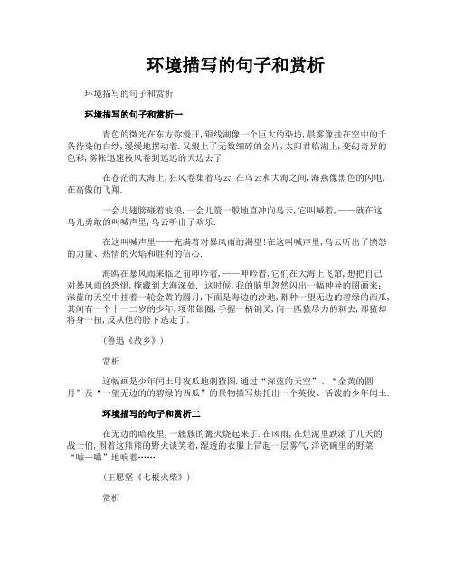 环境描写的句子和赏析