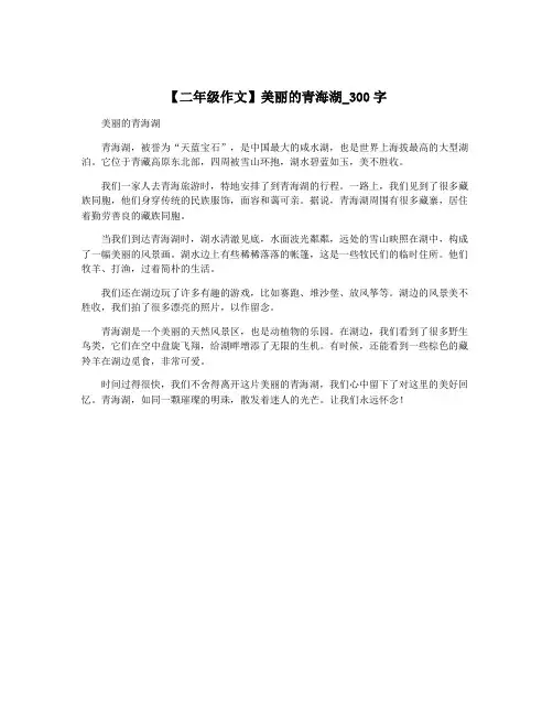 【二年级作文】美丽的青海湖_300字