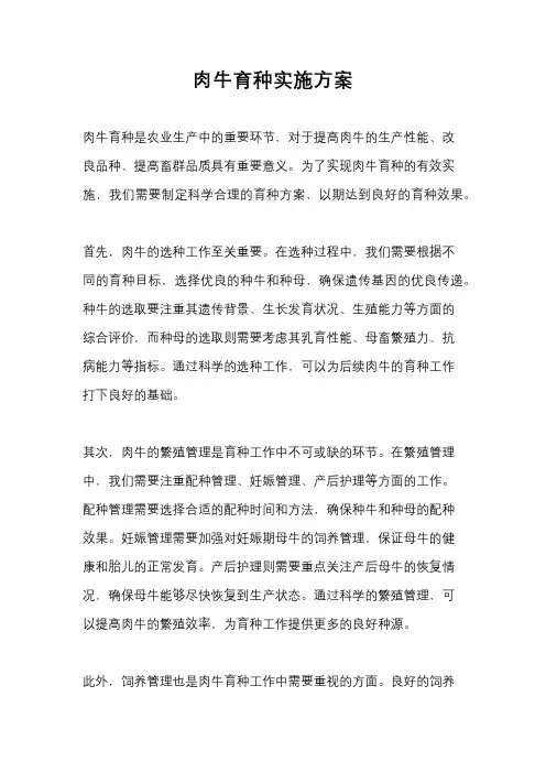 肉牛育种实施方案