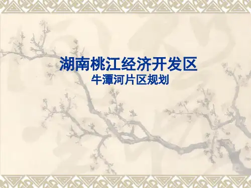 桃江经济开发区牛潭河分区规划