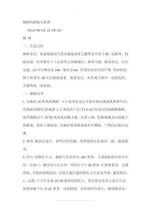 柳树的移植与管理