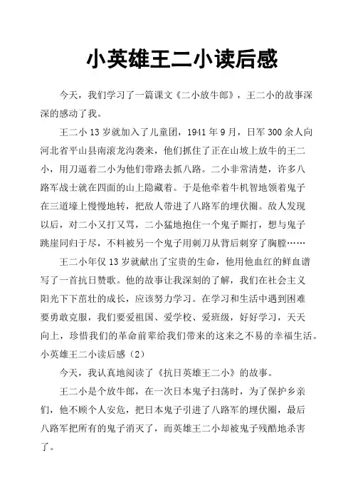 小英雄王二小读后感