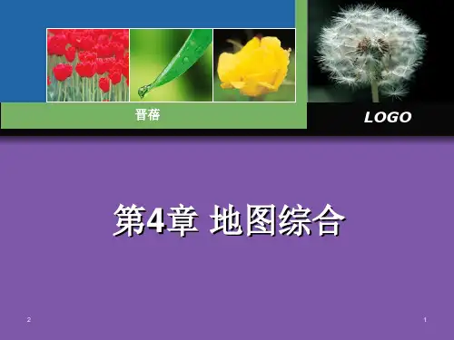 第4章 地图综合(课堂PPT)