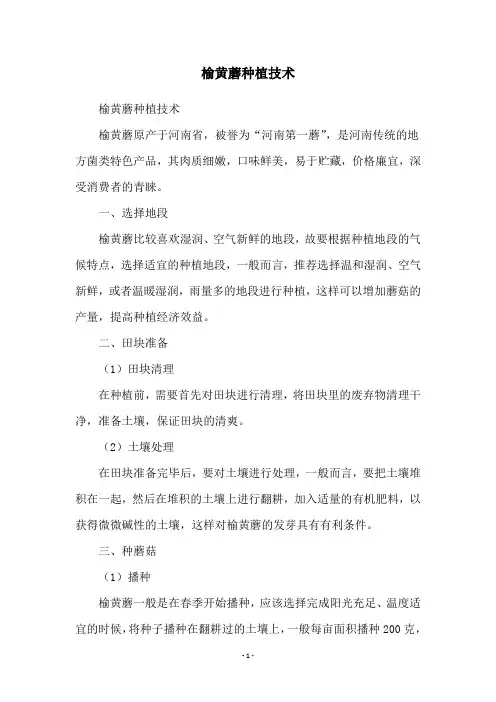 榆黄蘑种植技术