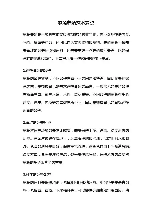 家兔养殖技术要点