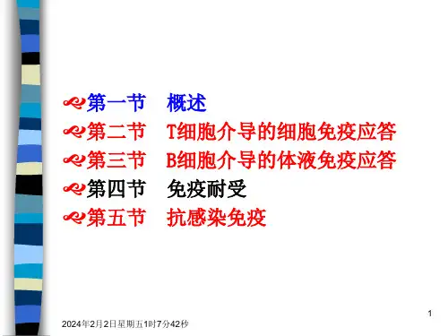 免疫应答ppt课件