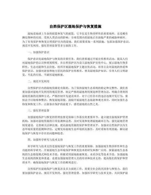 自然保护区湿地保护与恢复措施