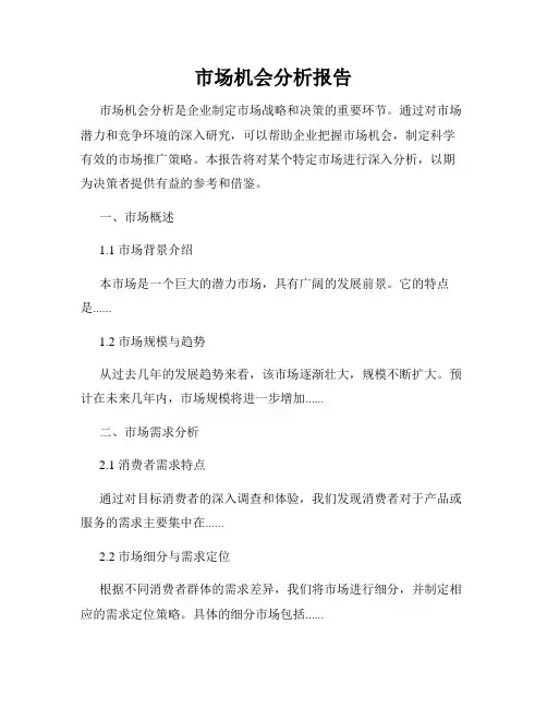 市场机会分析报告