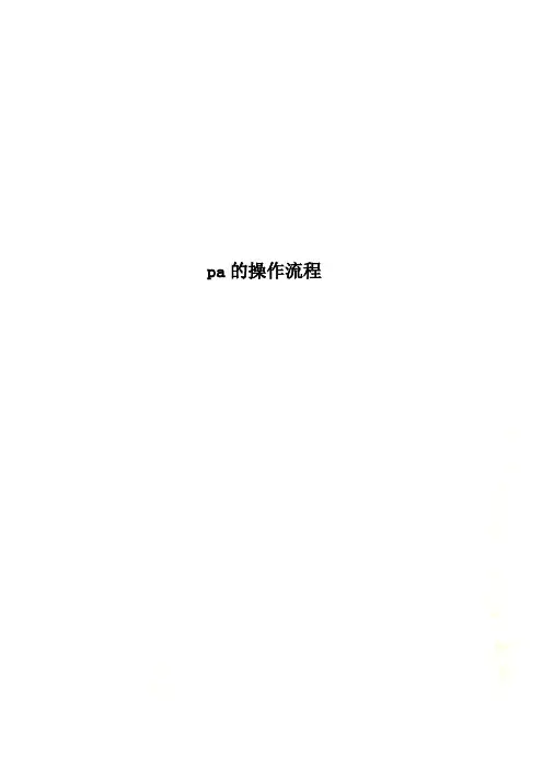 pa的操作流程