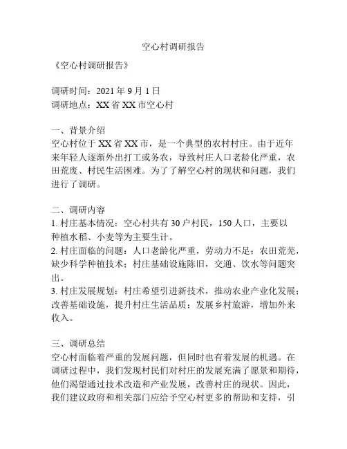 空心村调研报告