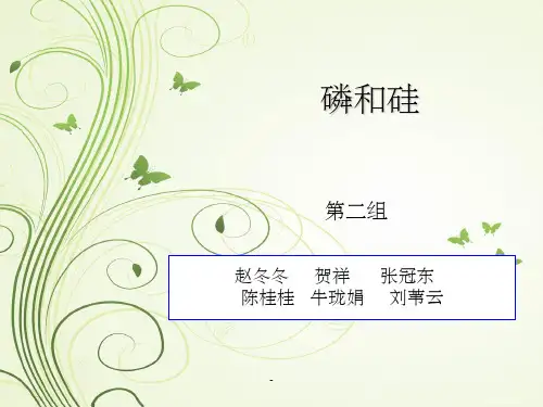 磷和硅ppt