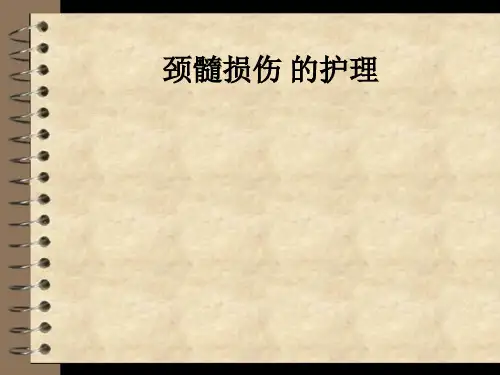 颈髓损伤 的护理ppt课件