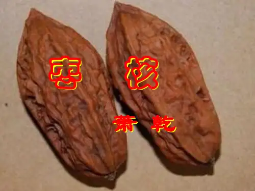优质课[苏教版]八年级语文(上)《枣核》课件(50张PPT)