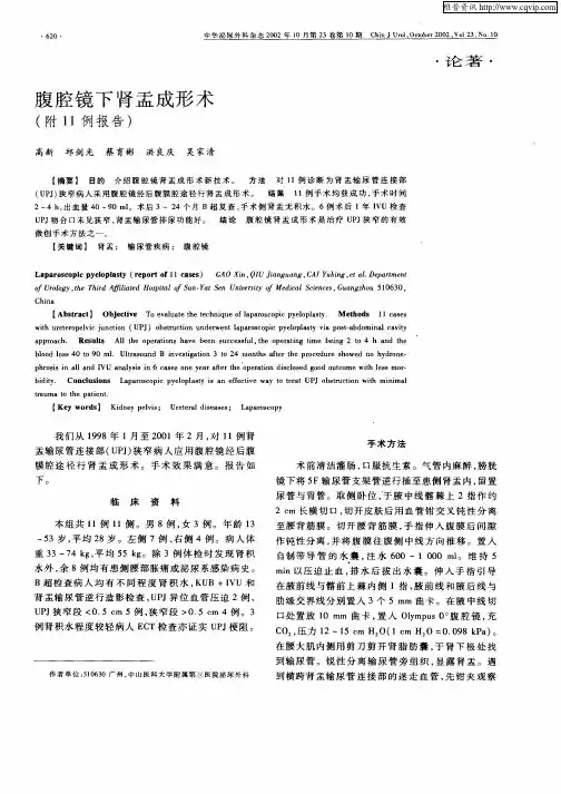 腹腔镜下肾盂成形术(附11例报告)