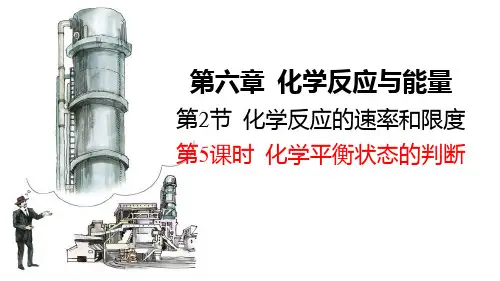 高中化学反应的速率与限度  课件  2022-2023学年高一下学期化学人教版(2019)必修第二册