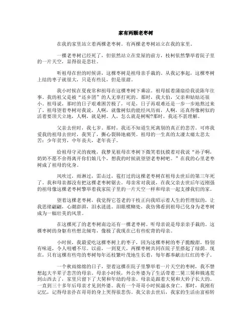 高三语文阅读家有两颗老枣树