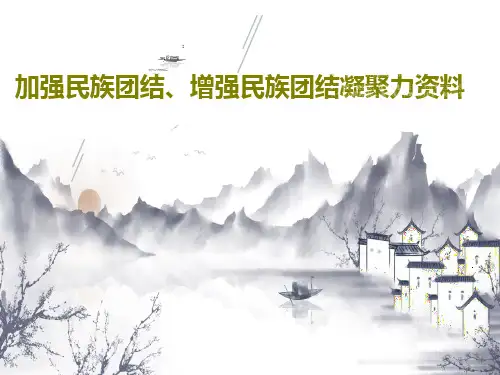 加强民族团结、增强民族团结凝聚力资料共25页文档