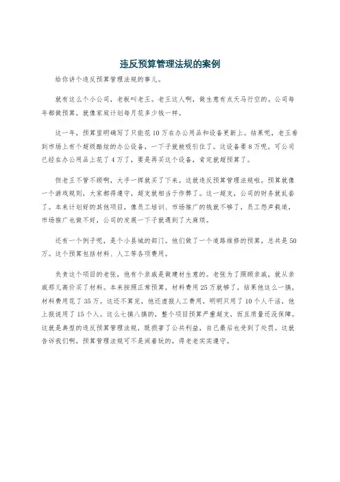 违反预算管理法规的案例