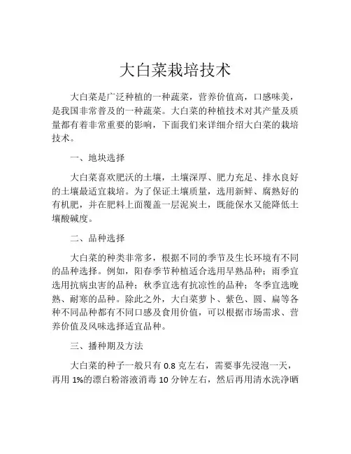 大白菜栽培技术