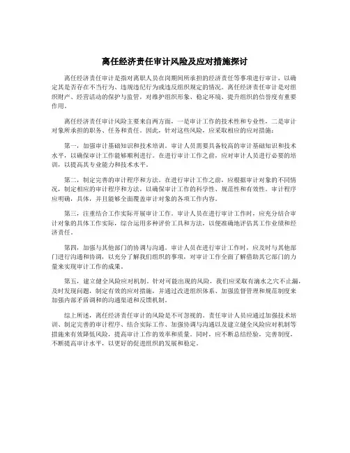 离任经济责任审计风险及应对措施探讨