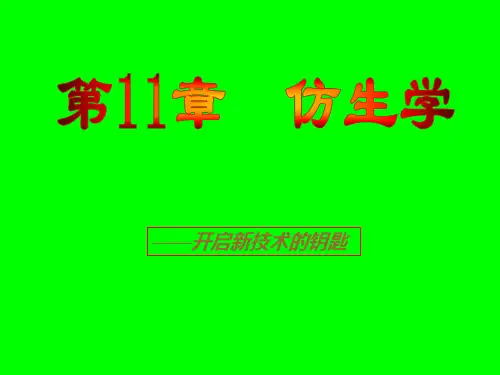 仿生学及其应用