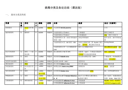 3、病毒分类及各论总结