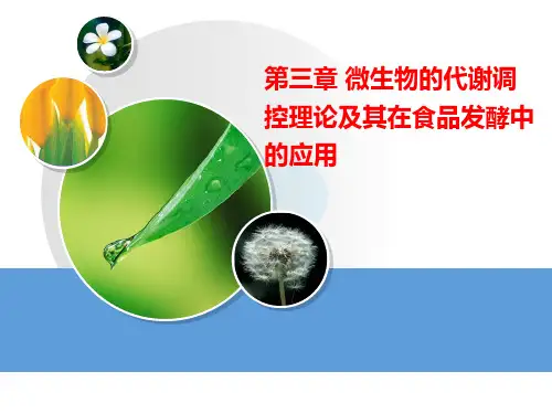 微生物的代谢调控理论及其在食品发酵中的应用ppt课件
