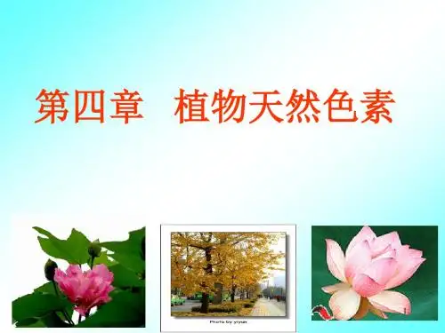 植物天然色素ppt课件
