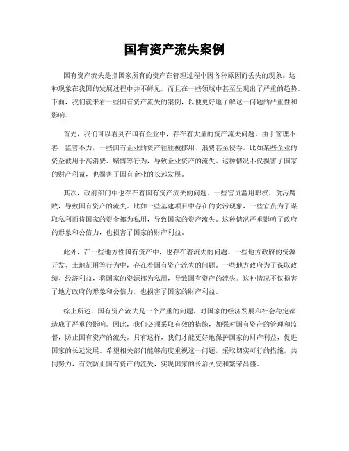 国有资产流失案例