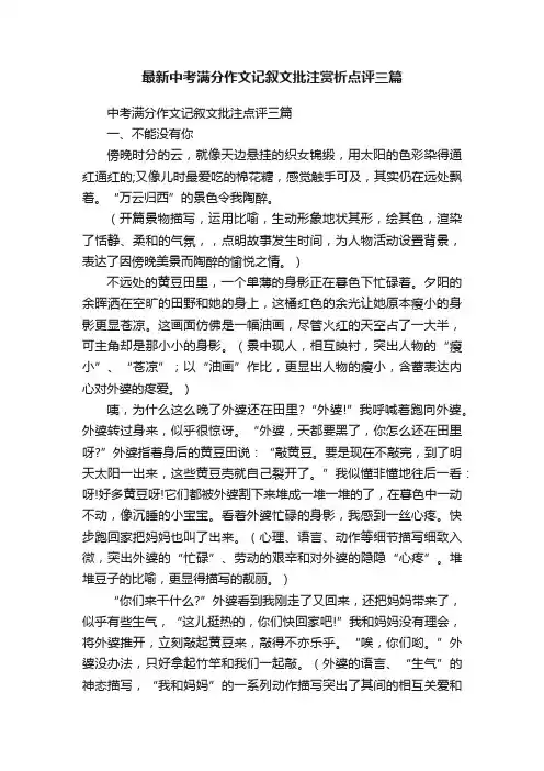 最新中考满分作文记叙文批注赏析点评三篇