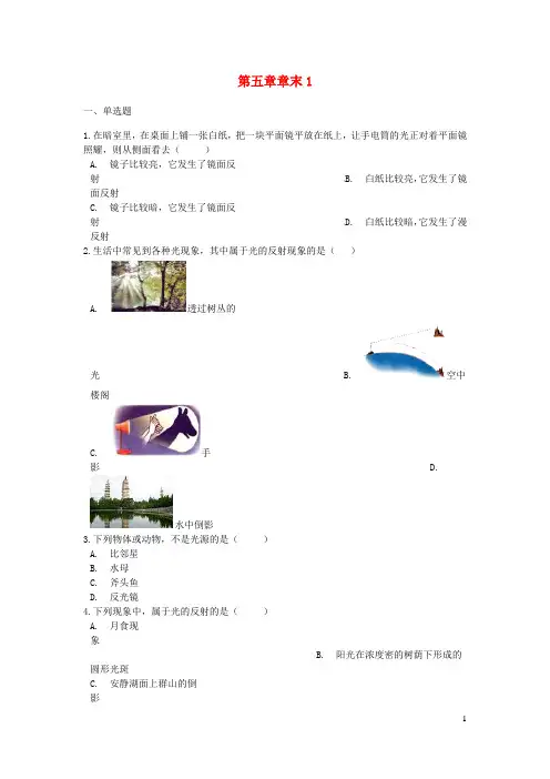 2024八年级物理上册第五章光现象章末试卷1新版北师大版