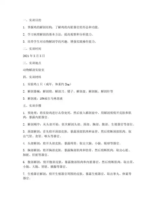 鸡的病理解剖实训报告