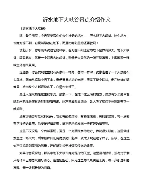 沂水地下大峡谷景点介绍作文