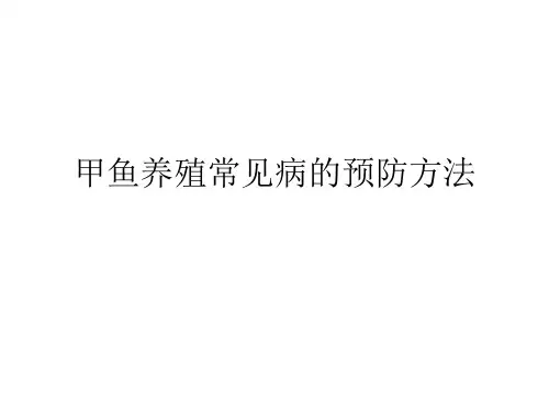 甲鱼养殖常见病的预防方法