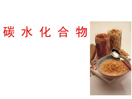营养学--碳水化合物