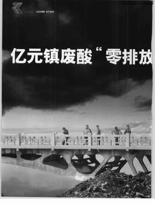 亿元镇废酸“零排放”之谜