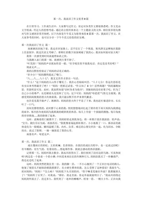 那一次,我流泪了作文优秀9篇