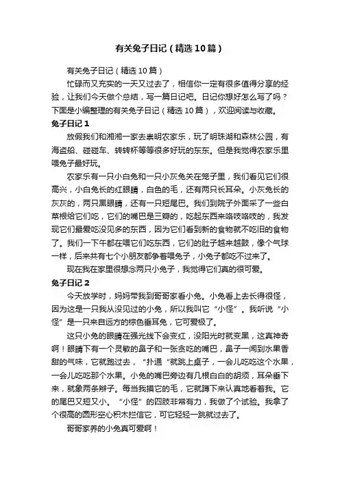 有关兔子日记（精选10篇）