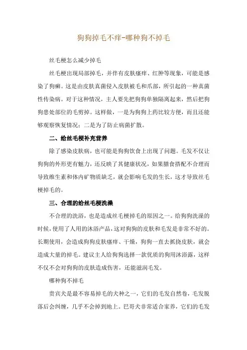 狗狗掉毛不痒-哪种狗不掉毛
